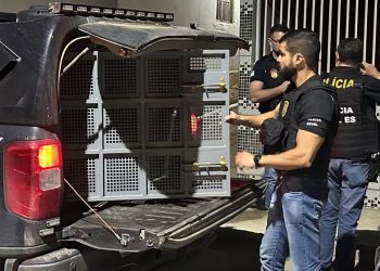 Polícia Civil prende em Ecoporanga suspeito de feminicídio praticado em Barra de São Francisco